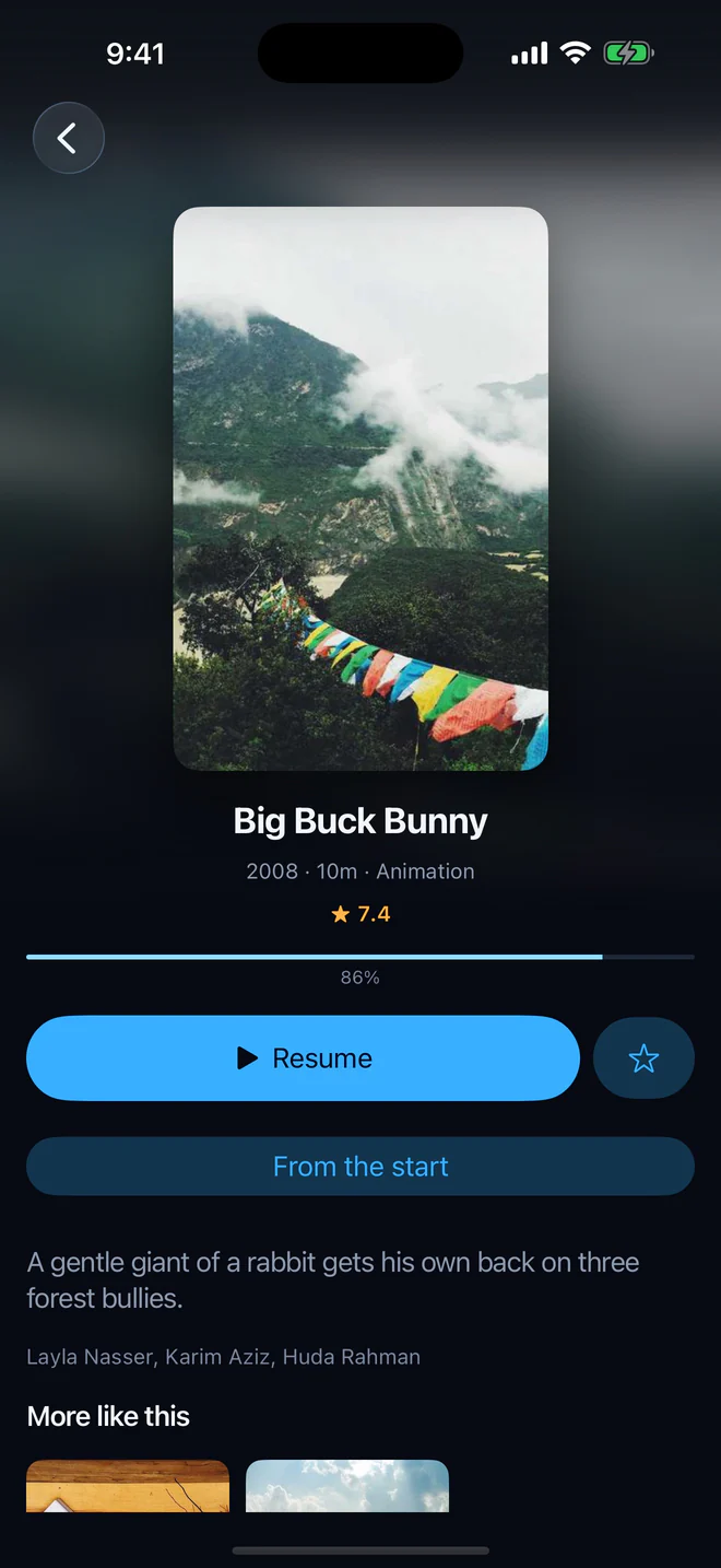 A film’s page in Aina on an iPhone: its poster, plot, rating and a button to play